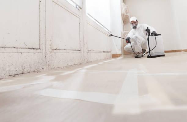 24/7 Emergency Black Mold Removal experts in Kingston, TN