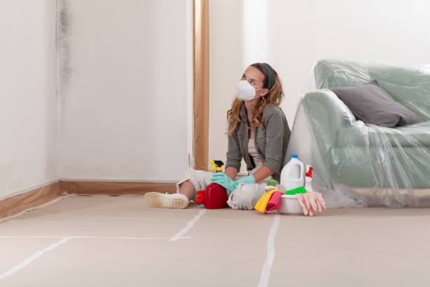 Reliable Black Mold Removal contractor in Kingston, TN by WQB Mold Removal